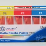 Pro taper GP Point